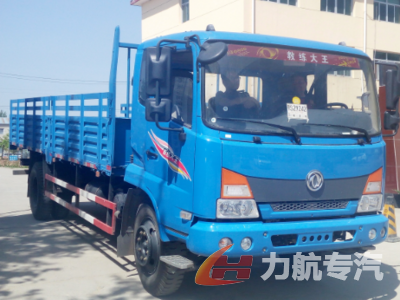 B2东风嘉运教练车