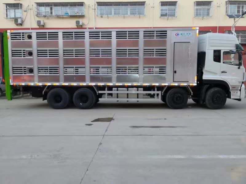 小豬運(yùn)輸車