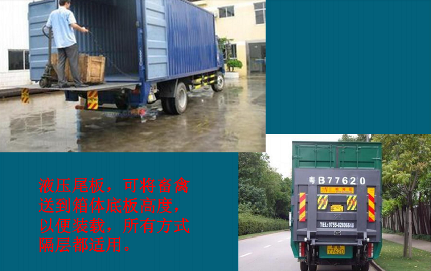 東風(fēng)天錦環(huán)保恒溫全鋁合金雛禽運(yùn)輸車,高端多功能運(yùn)豬車,空調(diào)運(yùn)豬車的價(jià)格