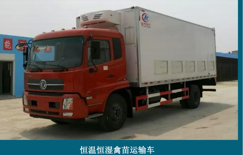 東風(fēng)天錦環(huán)保恒溫全鋁合金雛禽運(yùn)輸車,高端多功能運(yùn)豬車,空調(diào)運(yùn)豬車的價(jià)格