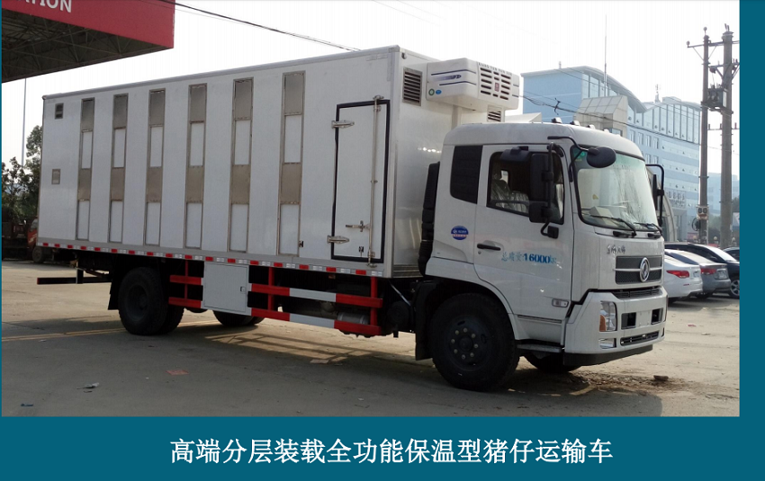 東風(fēng)天錦環(huán)保恒溫全鋁合金雛禽運(yùn)輸車,高端多功能運(yùn)豬車,空調(diào)運(yùn)豬車的價(jià)格