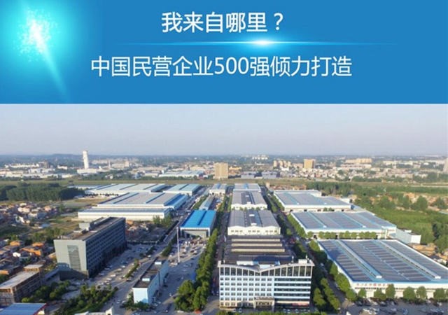 中国民企500强