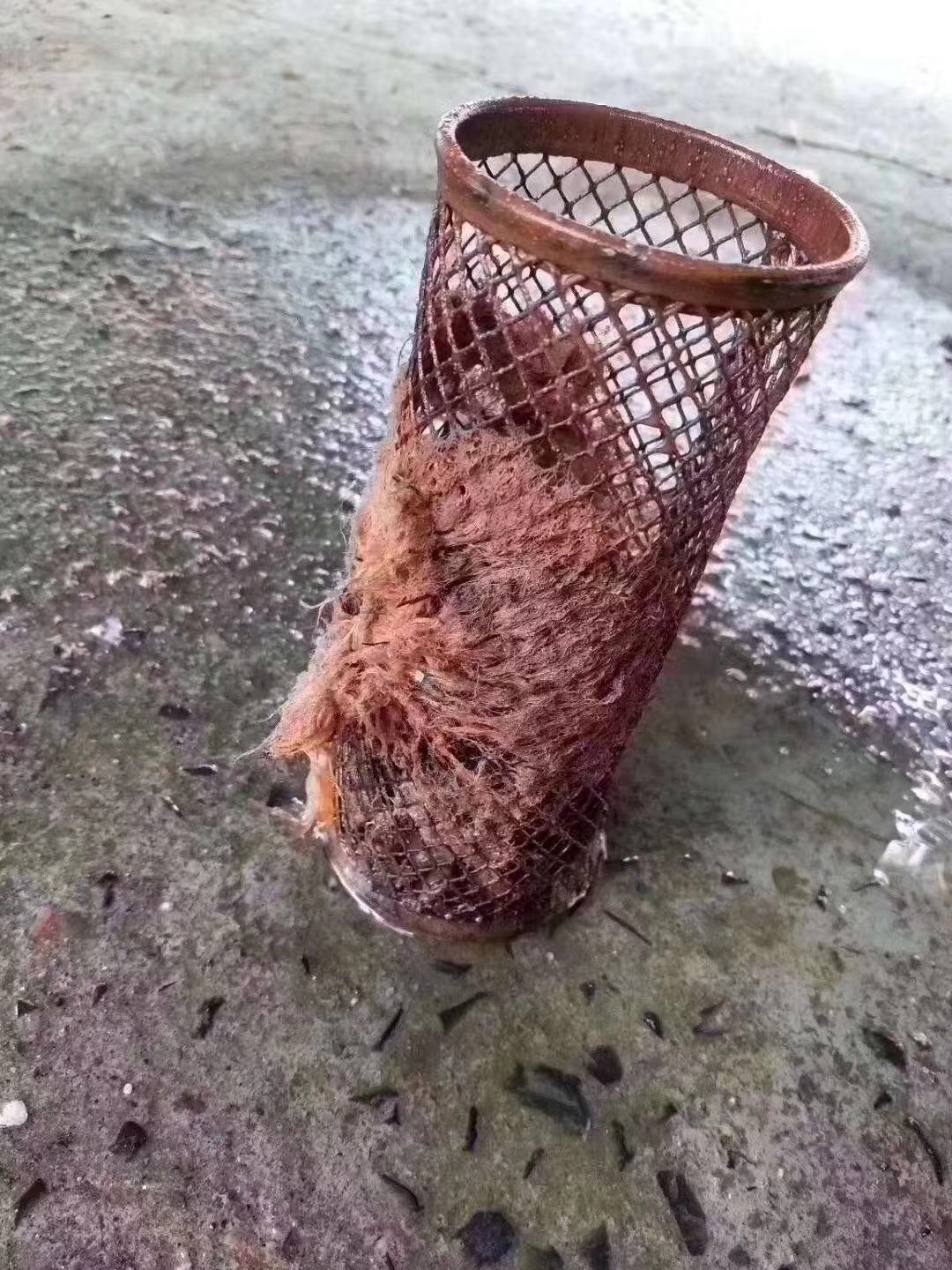灑水車圖片